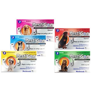PESTIGON SPOT-ON CANI DI PICCOLA TAGLIA 2-10 KG