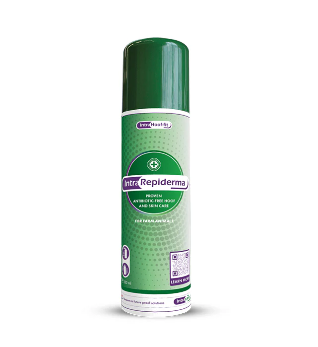 INTRA REPIDERMA 250 ML