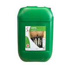 PUPPIS PLUS 25 KG