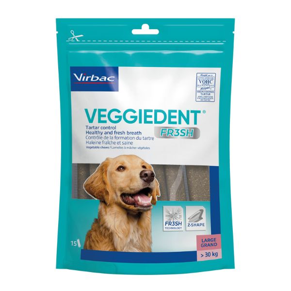 VEGGIEDENT FRESH L