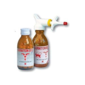 CARNITON B12 80 COMPRESSE CANE
