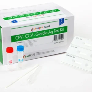 RAPID TEST CPV-CCV AG  KIT 10 TEST BIONOTE