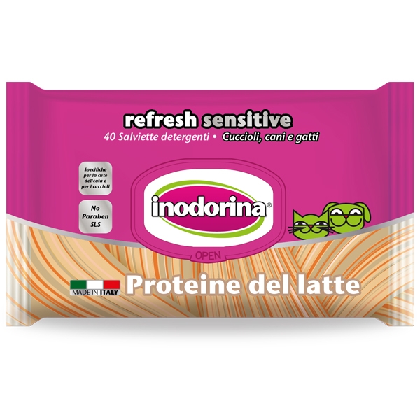 SALVIETTE DETERGENTI MAXI 40 PZ SENIOR