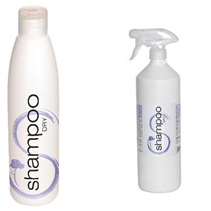 SHAMPOO DRY SLAIS 250 ML