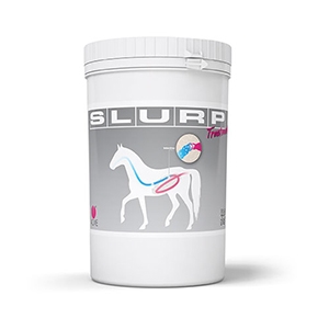 Slurp Treatment Polvere 800 gr