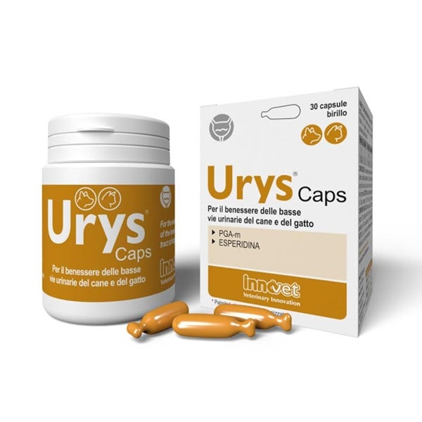 URYS CAPSULE 30 CPS