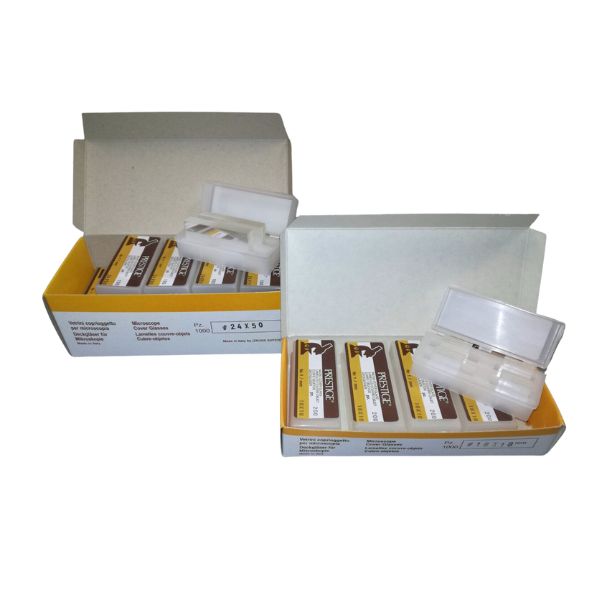 VETRINI COPRI-OGGETTO 24X50MM 100 PZ (PRESTIGE)