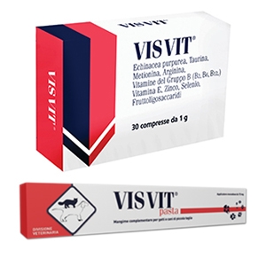 VISVIT PASTA 15 GR