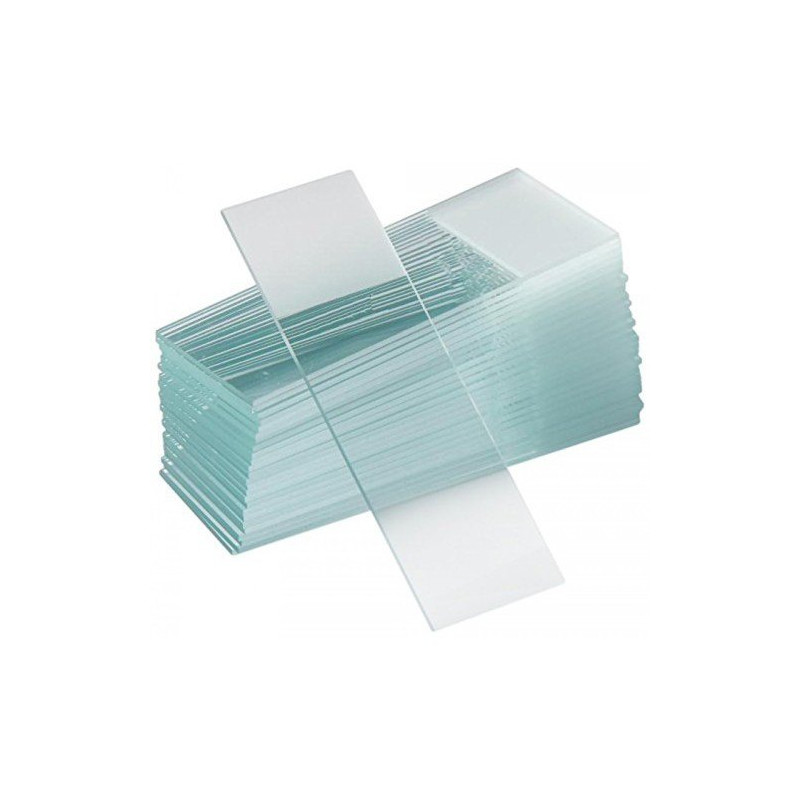 vetrini portaoggetto bordo molato 26x76 (50 PZ)