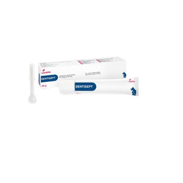DENTISEPT TUBO DENTIFRICIO 20 GR