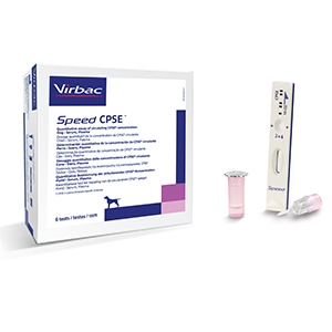 SPEED READER CPSE 6 TEST