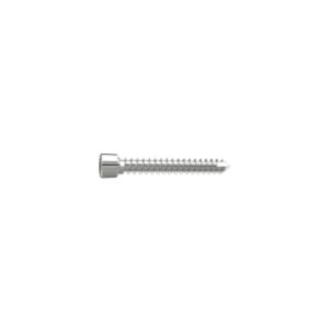 FIXIN VITE DIAM. 1.9 MM L. 7 mm V2407
